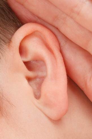 ear