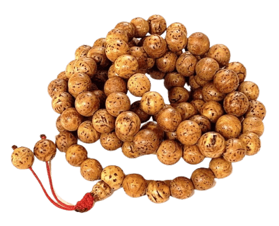 Bodhiseed-Beads