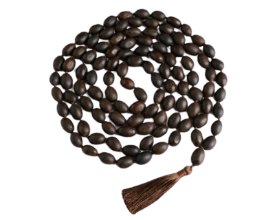Lotus-Seed-Beads